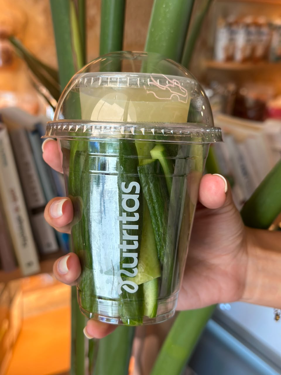 Cucumber Summer Cup